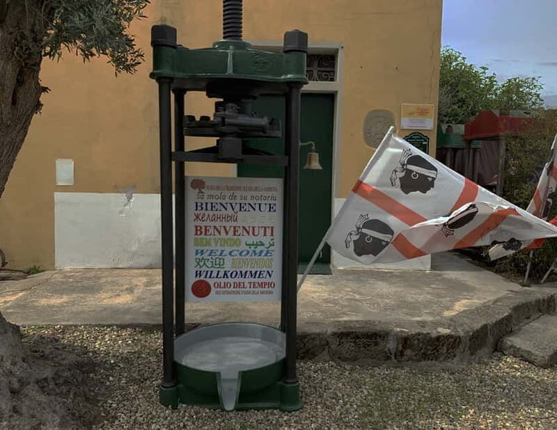 Cagliari Olive Oil Museum: Tours & Tasting a Dolianova - A Closer Look at the Tour Experience