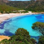 Cagliari: Private or Small Group Fishing Trip Experience - What to Expect from This Sardinian Sea Day