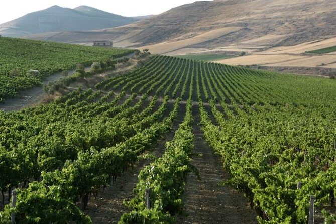 Cagliari Private Shore Excursion: Wine and Cheese Tasting - What Makes This Tour Stand Out?