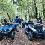 Cagliari: Waterfalls Quad-ATV Adventure from Domus de Maria - The Itinerary: What to Expect