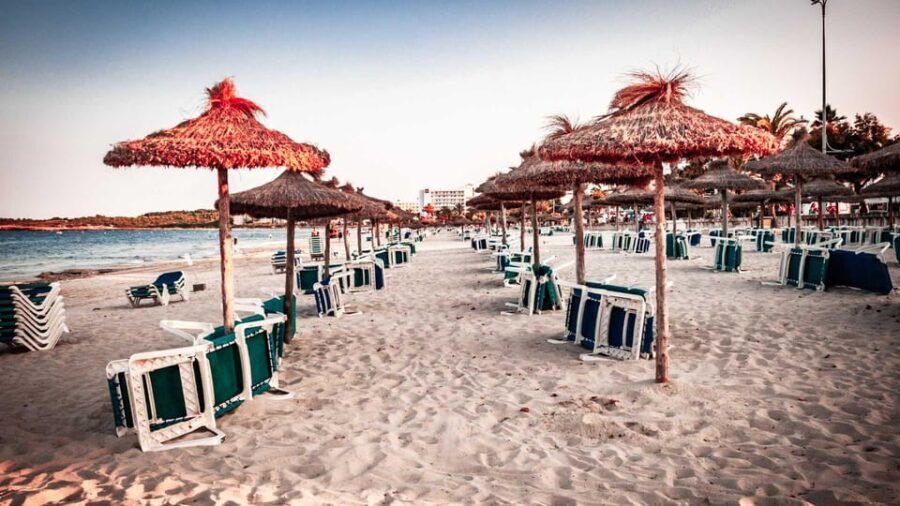 Cala d'Or: The Magical Creatures of Cala d'Or, family walk - Who Will Love This Tour?