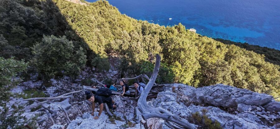 Cala Mariolu trekking - What to Expect on the Trek