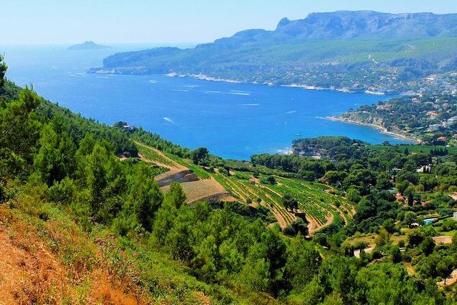 Calanques of Cassis, Aix-en-Provence & Wine Tasting Private Tour - Who Would Love This Tour?