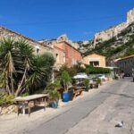 Calanques Ridge Trek with Panoramic Mediterranean Views - Practical Details and Group Experience