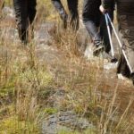 Caldeira do Faial Descent - private hiking tour - What to Expect from the Caldeira do Faial Descent