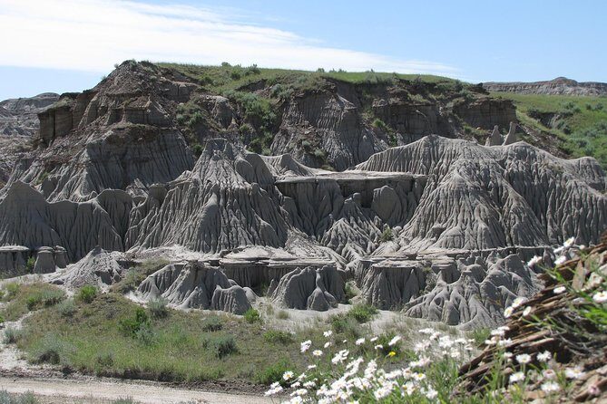 Calgary to Royal Museum | Drumheller PRIVATE TOUR - Who’s This Tour Best For?