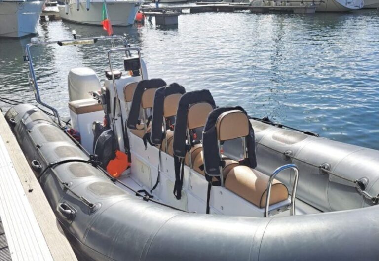 Calheta: Whale & dolphin watching small groups designer tour - Comparing with Similar Tours