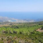 calice in cratere - What’s Not So Perfect?