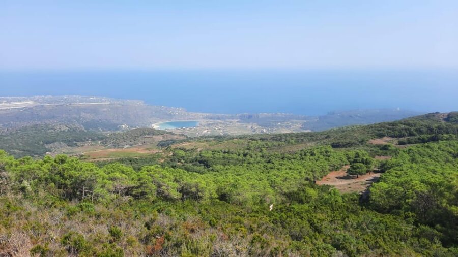 calice in cratere - What’s Not So Perfect?