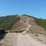 Calvi: Asco Valley 4x4 Day Tour with Guide - Who Will Love This Tour?