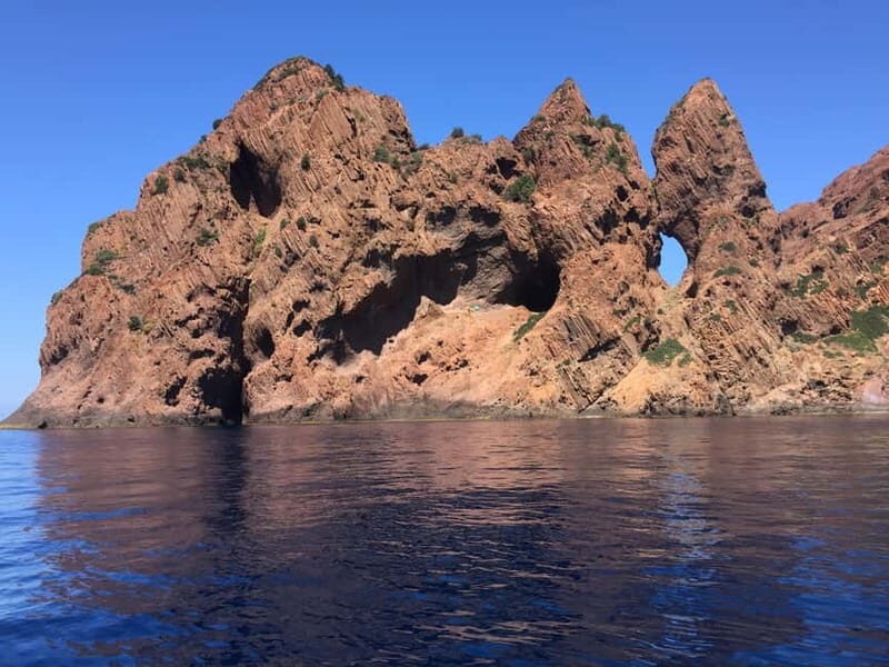 Calvi: Guided boat tour for 48 people to Scandola and Girolata - What Do Travelers Say?