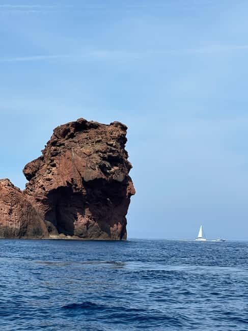 Calvi: Guided speedboat tour to Scandola - The Itinerary and What You’ll Experience