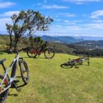 Camacha: Levada Trail e-Bike Guided Tour - What We Love About This Tour