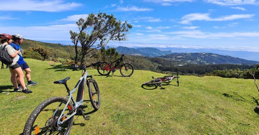 Camacha: Levada Trail e-Bike Guided Tour - What We Love About This Tour