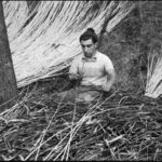 Camacha - The art of wickerwork - Practical Details: What You Need to Know