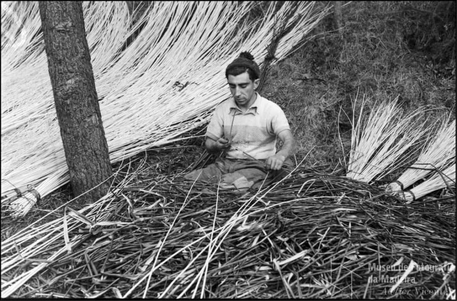 Camacha - The art of wickerwork - Practical Details: What You Need to Know