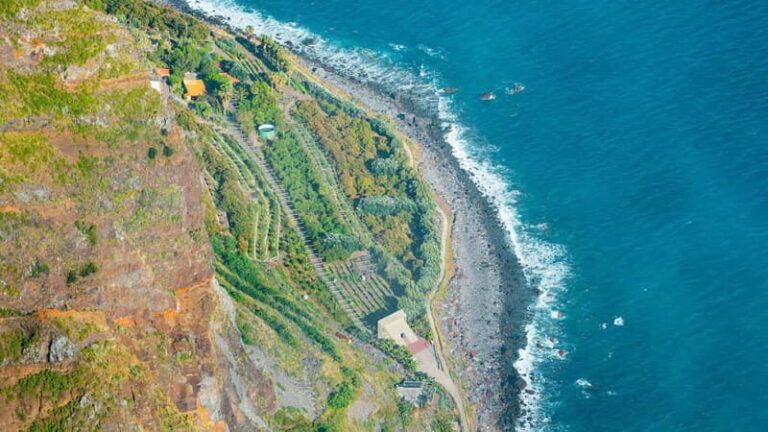 Câmara de Lobos, Pico da Torre, and Porto Moniz Tour - Who Would Love This Tour?