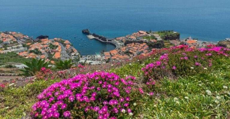 Câmara de Lobos: Private Fishing Village Tour by Tuk-Tuk - What Makes This Tour Stand Out?