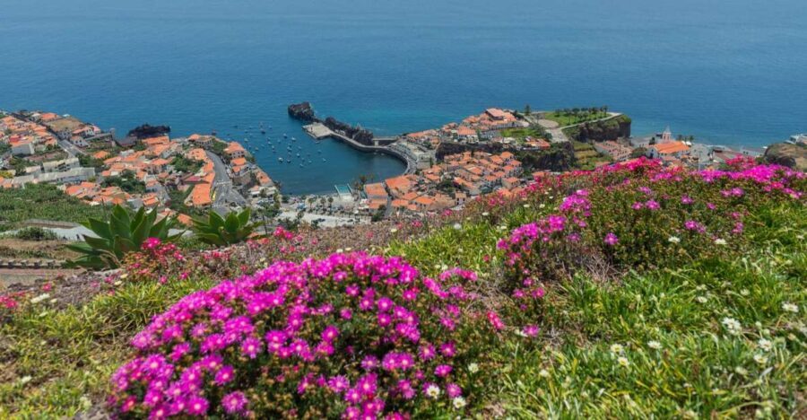Câmara de Lobos: Private Fishing Village Tour by Tuk-Tuk - What Makes This Tour Stand Out?