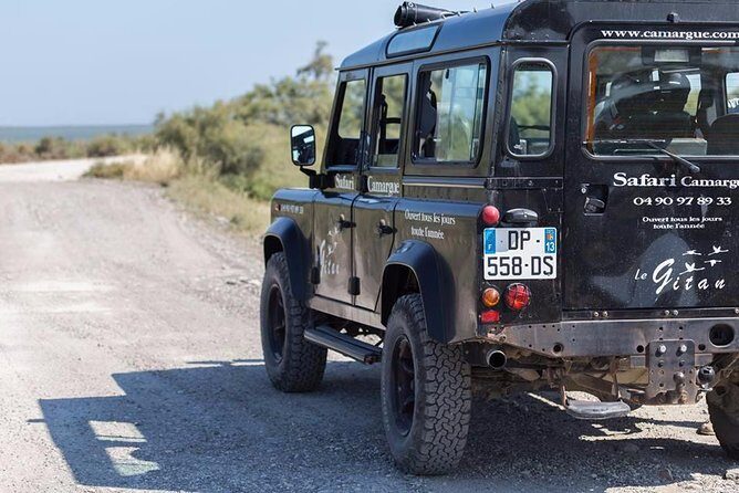 Camargue 4x4 Safari 2 hours Saintes Maries de la Mer - Who This Tour Is Best For