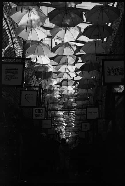 Camden: Photography Tour (Film Cameras Welcome!) - Exploring Camden Through a Lens