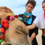 Camel Encounter and Safari Ride. Includes lunch & alcohol tasting - Breaking Down the Experience