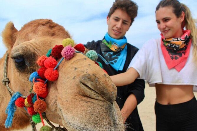 Camel Encounter and Safari Ride. Includes lunch & alcohol tasting - Breaking Down the Experience