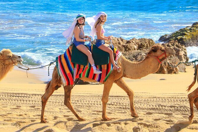 Camel Ride and UTV Combo Adventure, with Tequila Tasting - Overall Impression & Who Should Consider This Tour