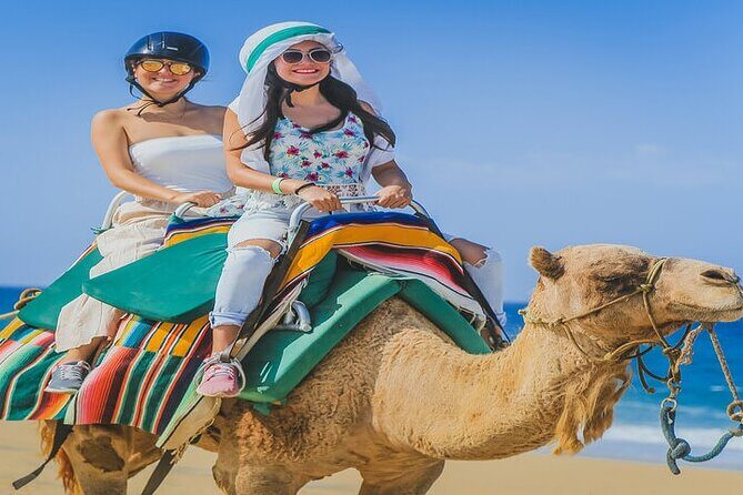 Camel Ride & ATV Combo in Migriño, Mexico - The Itinerary Breakdown