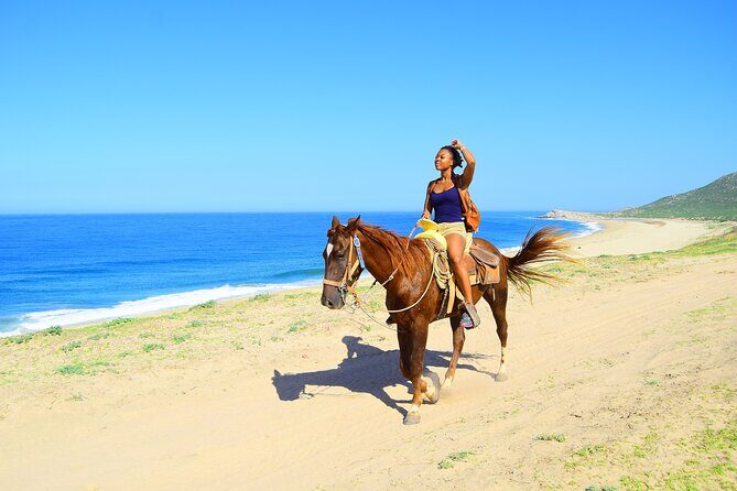 Camel Ride Tour in Los Cabos - What Travelers Say