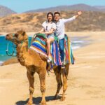 Camel riding experience on the shores of the Pacific Ocean - Is It Good Value?