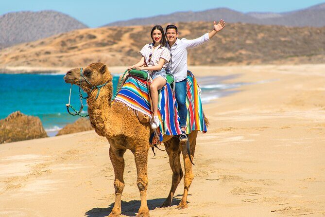 Camel riding experience on the shores of the Pacific Ocean - Is It Good Value?