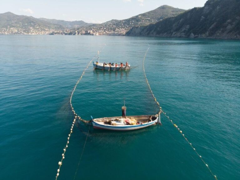 Camogli: Boat Tour on the trail of the Tonnarella - The Itinerary in Detail