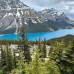 Can/Banff :Columbia Icefield, Crowfoot Glacier and Bow Lake, Tour - Detailed Breakdown of the Itinerary