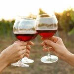 Canandaigua Wine Trail Experience - The Realities and Considerations