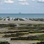 Cancale: Private Guided Walking Tour - The Experience in Detail