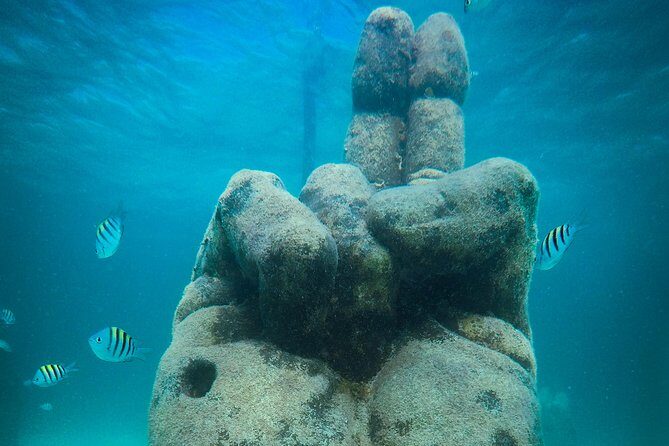 Cancun Adventure: Reef Snorkeling & Parasailing Experience - The Value of the Tour