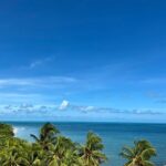 Cancun Airport Shared Shuttle to Holbox Chiquila Port - Pricing & Value