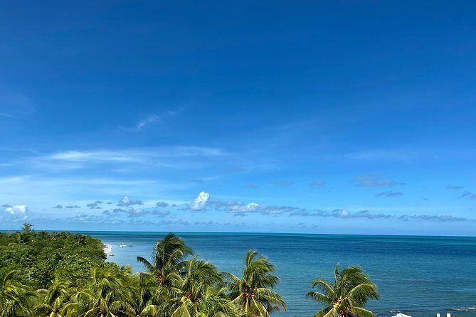 Cancun Airport Shared Shuttle to Holbox Chiquila Port - Pricing & Value