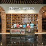 Cancun City Tour + El Meco Ruins Round Transportation - Transportation and Group Size