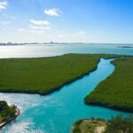 Cancun Jungle Tour with Speedboat and Snorkeling - Who Is This Tour Best Suited For?