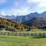 Cangas de Onís: Route in the Vegabaño Forest with lunch at a mountain refuge - Who Should Consider This Tour?