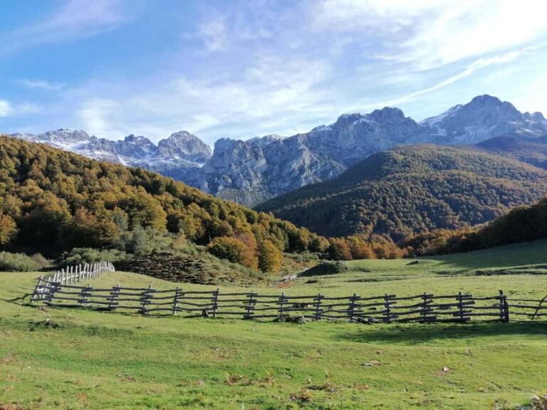 Cangas de Onís: Route in the Vegabaño Forest with lunch at a mountain refuge - Who Should Consider This Tour?
