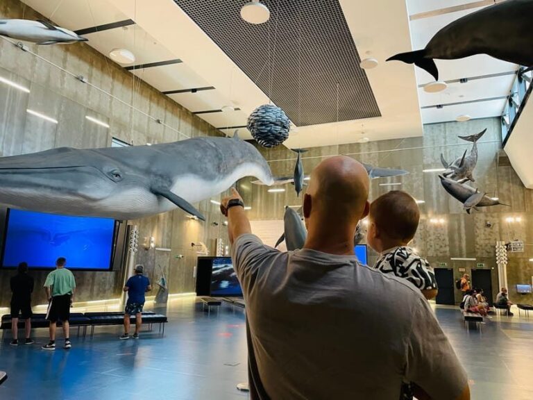 Caniçal : Madeira Whale Museum Entry ticket - What to Expect During Your Visit