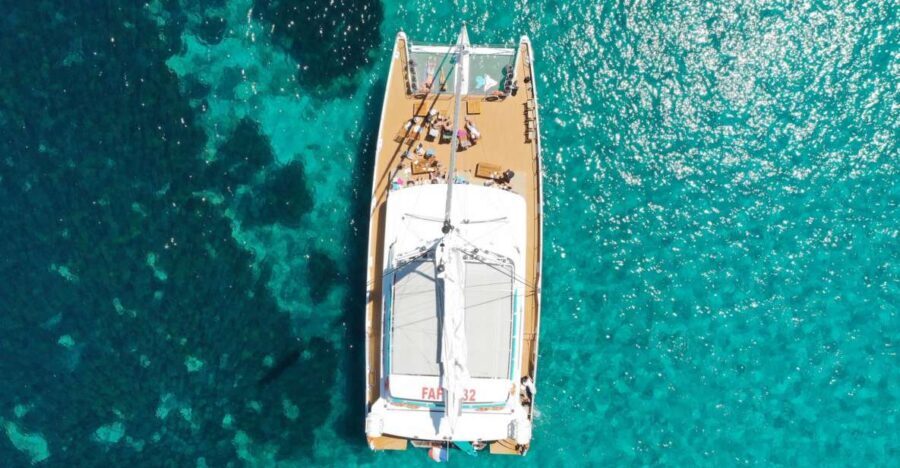 Cannes: Half-Day Catamaran Cruise - Practical Tips for a Smooth Experience