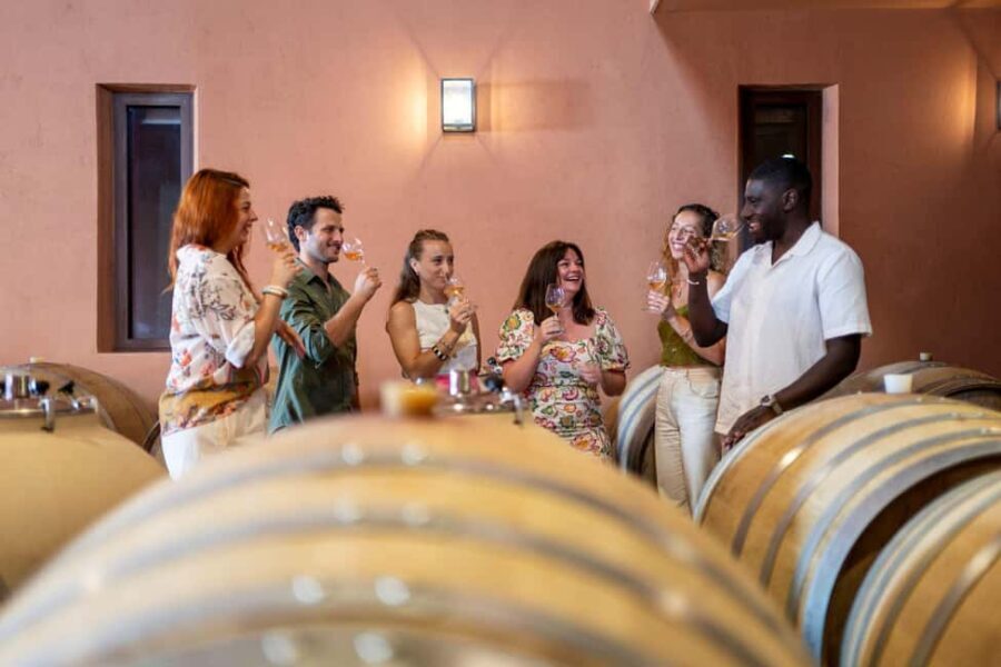 Cannes: Provence Wine Tour - Private Tour from Cannes - FAQ