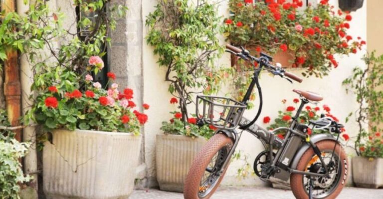 Cannes: rent an E-bike to visit the city - What Does the Tour Cover?