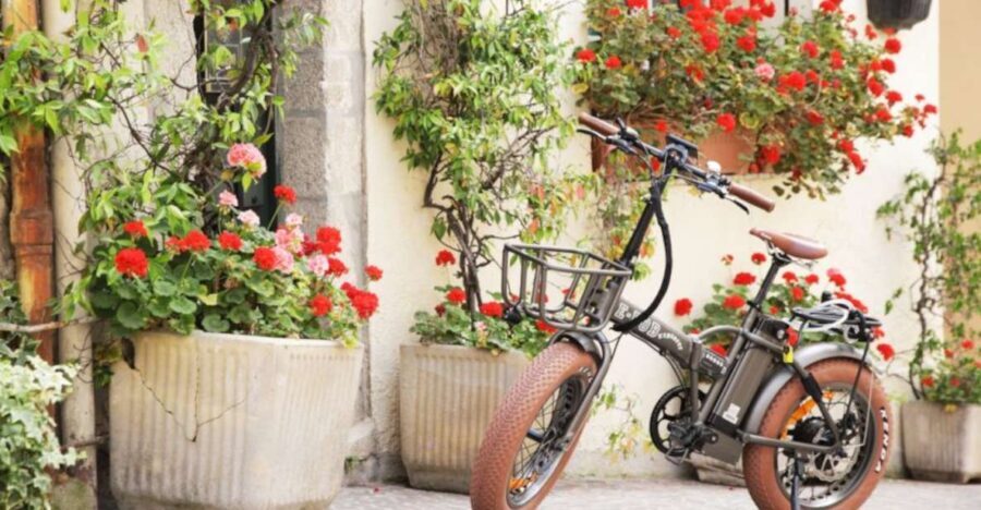 Cannes: rent an E-bike to visit the city - What Does the Tour Cover?