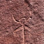 Canyon Combo Tours - Price and Value: Is It Worth It?