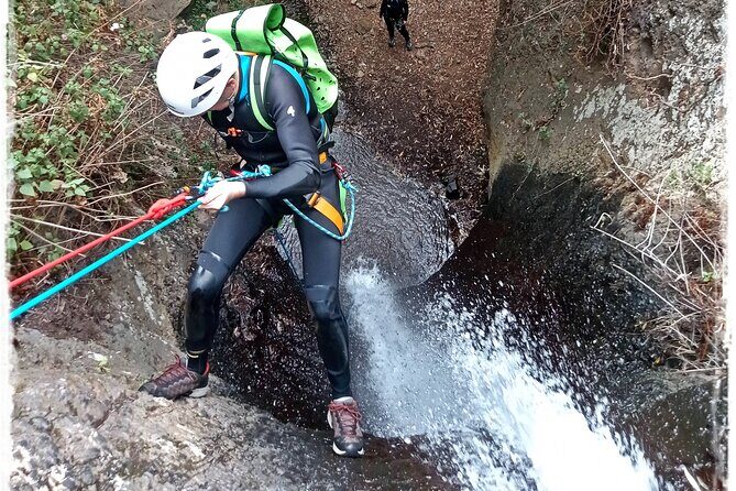 Canyoning in Rainforest: The hidden waterfalls of Gran Canaria - What You’ll Do During the Tour